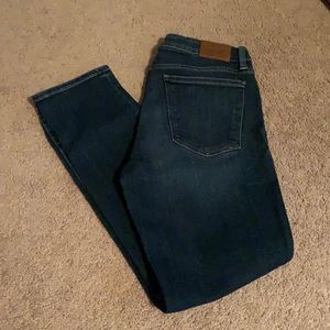 Lucky Brand Lolita skinny jeans size 10